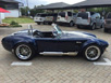cobra_5.3_auto